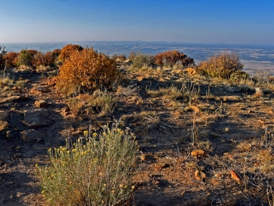 "Geologic Overlook"