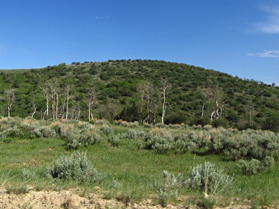 Jackrabbit Ridge