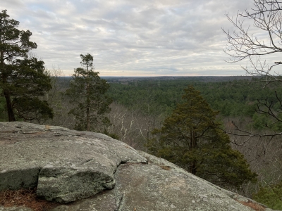 Bluff Hill