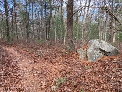 Carolina Hill