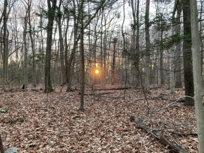 Hope, Mount