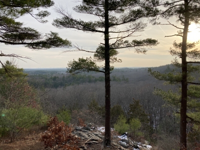 Cedar Hill