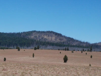 Gaywas Peak