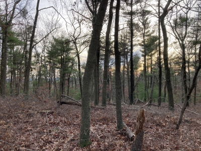 Burnt Hill