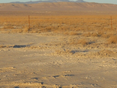 Long Ridge