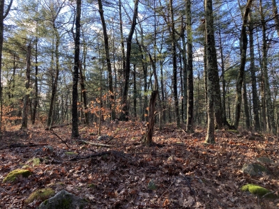 Indian Hill