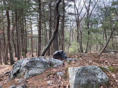 Breeze Hill