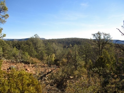 King Ridge