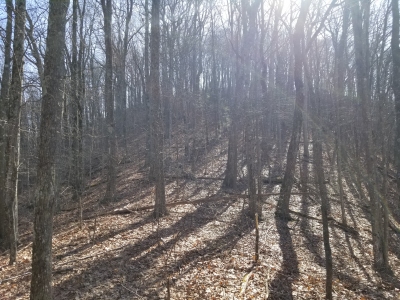 Dalton Ridge
