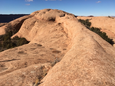"Swiss Cheese Ridge"