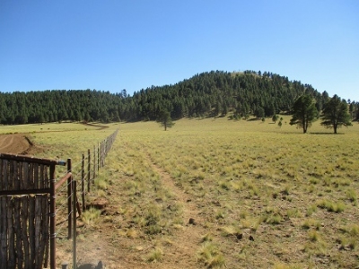 Klostermeyer Hill