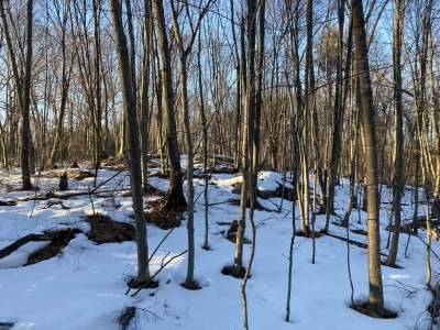 Inman Hill