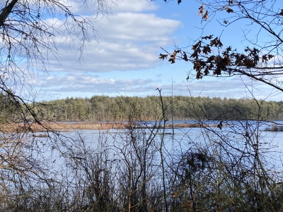North Hill