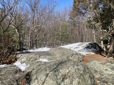 Wilson Mountain