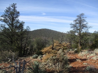 Mescal Ridge
