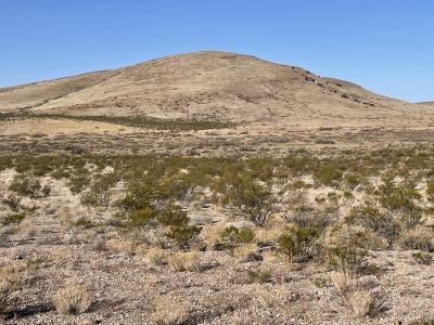 Greg Hills, East
