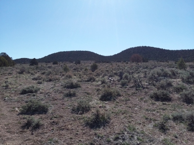 Pine Mountain