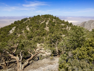 Tempiute Mountain