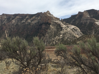 Martha Ridge
