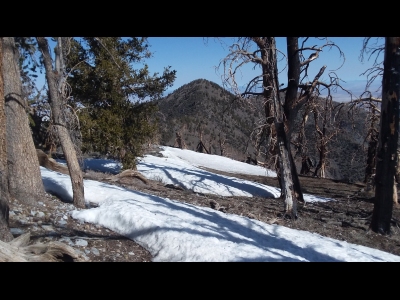 Timber Mountain
