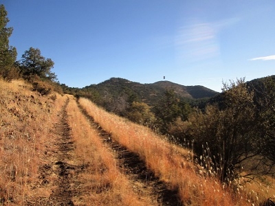 Willow Mountain