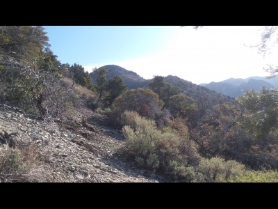 White Pine Peak
