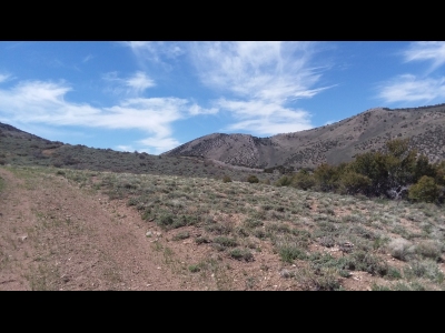White Pine Range Wilderness HP