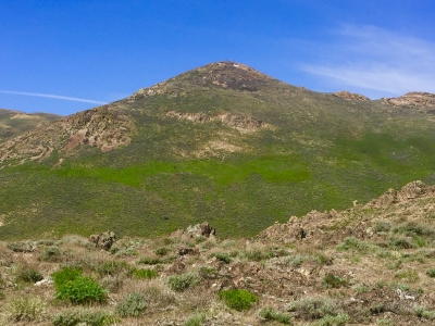 Swales Mountain