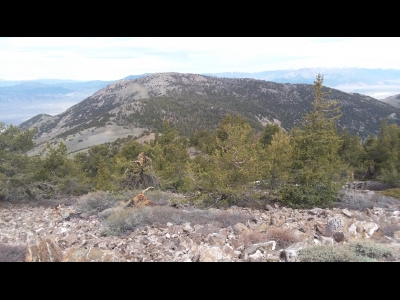Windy Peak