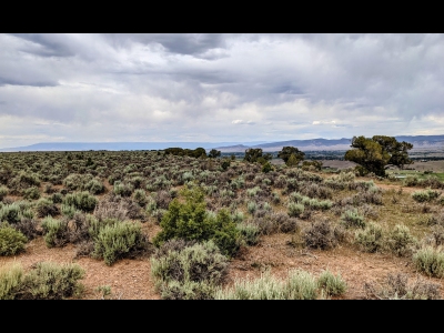 Sims Mesa