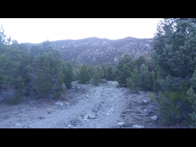 Bristlecone Wilderness HP