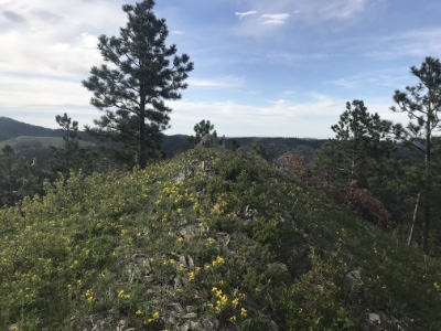 Sugarloaf Mountain