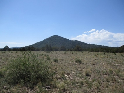 Ziegler Mountain