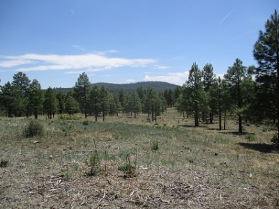 Ecks Mountain