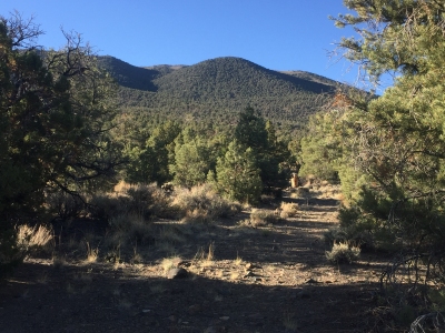 Excelsior Mountain