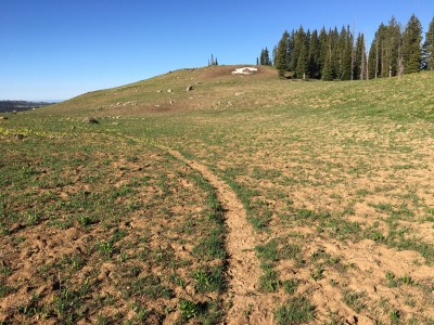 Clinetop Mesa