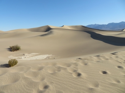 "High Dune"