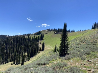 Mica Ridge