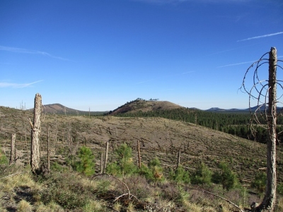 Section 16 Hill