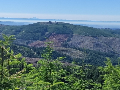 Grindstone Ridge