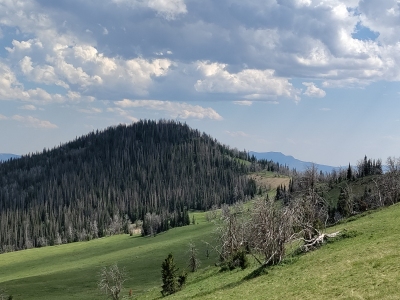 Cascade Mountain
