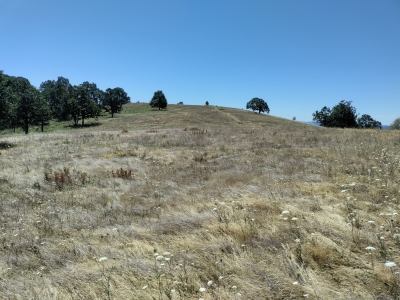 Baldy, Mount