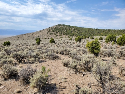 Black Knoll