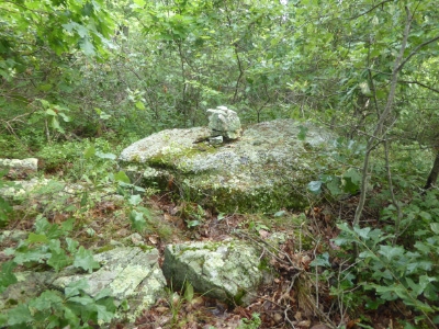 New Jersey State Line HP