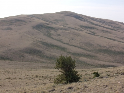 Vinegar Hill