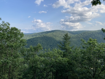 Hawks Mountain