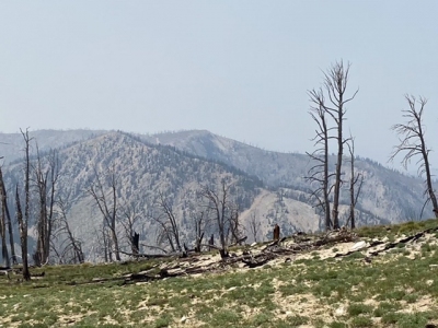 Walkers Peak