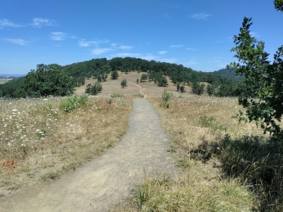 "Baskett Butte"