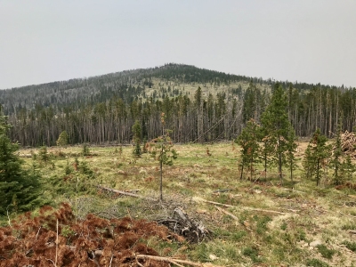 Jericho Mountain