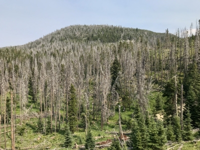 Lee Mountain